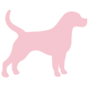 Chien.png